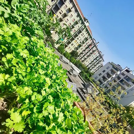 娃奥住宿加早餐旅馆
